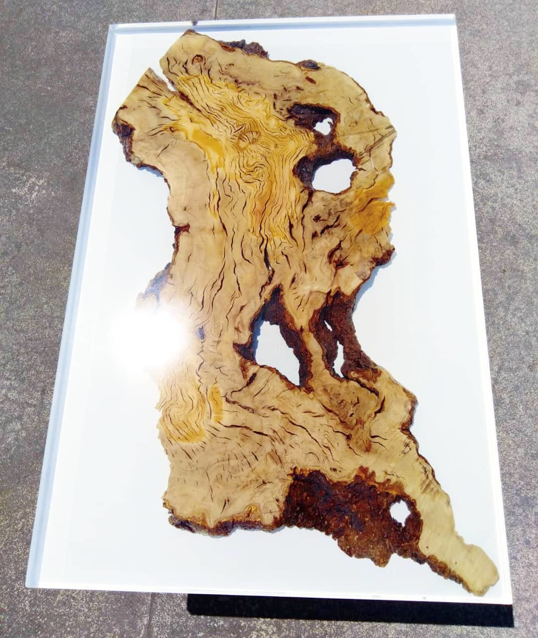 Tavolo design vetro e legno - Milk