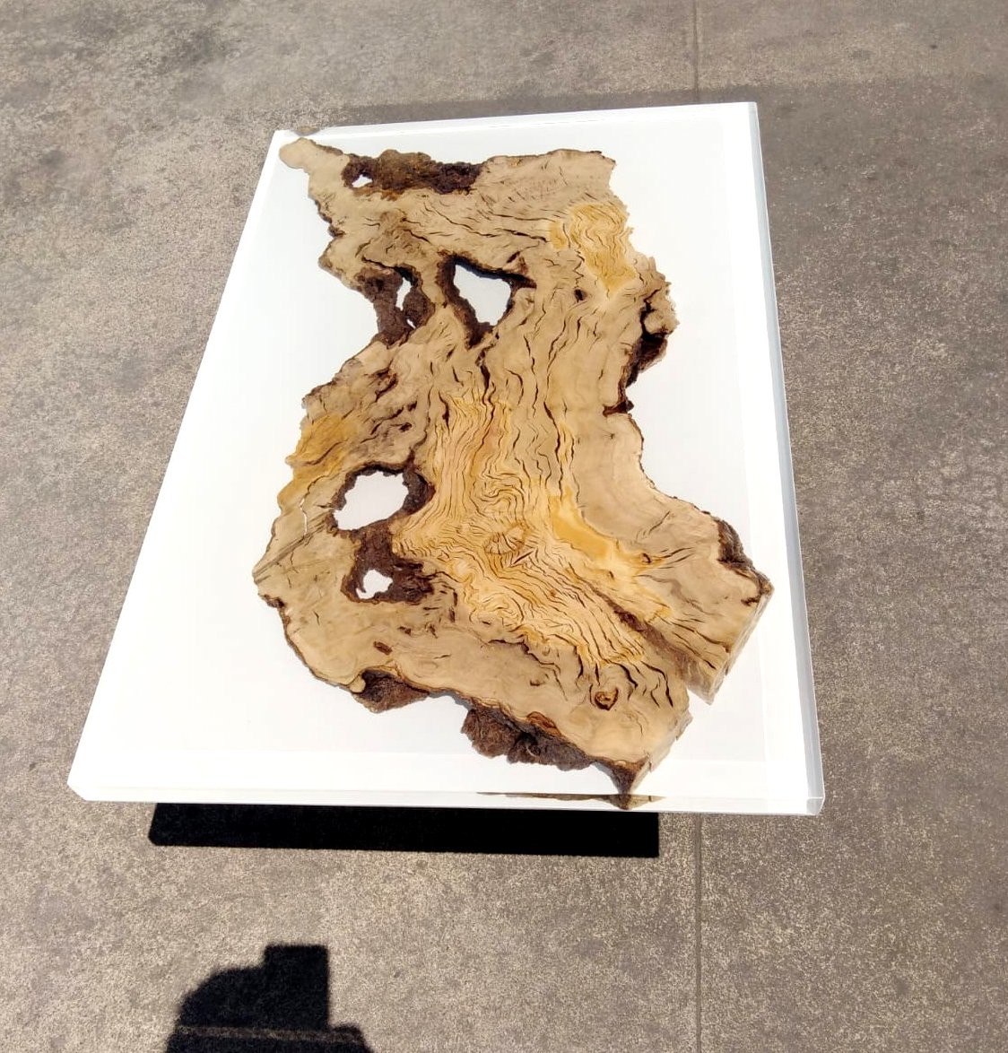 Tavolo design vetro e legno - Milk