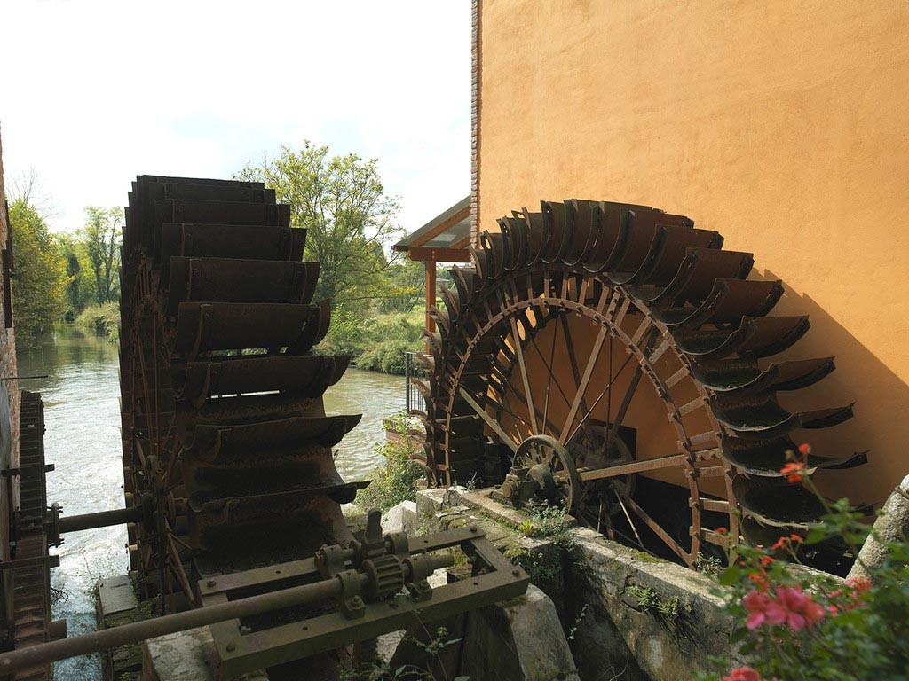 Legno antico: Rovere